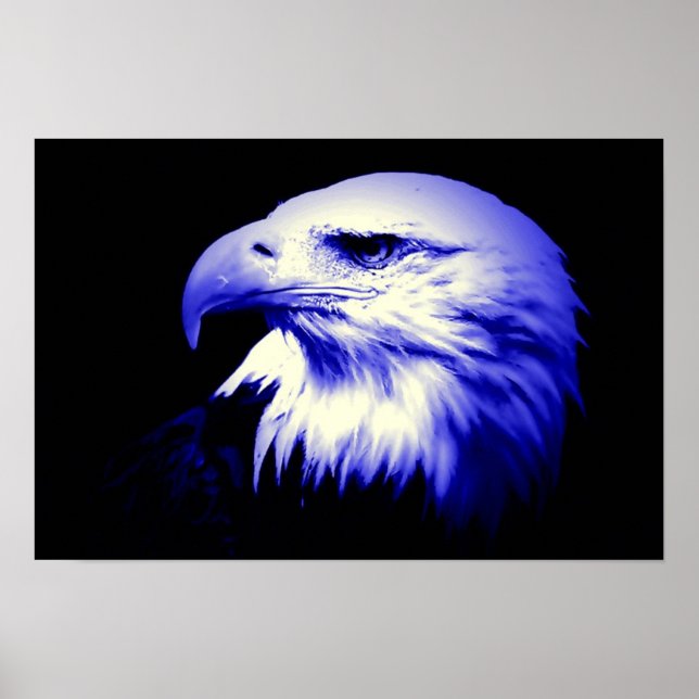 American Eagle Bald Eagle Poster Print (Vorne)