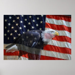 American Eagle Flag Print Poster