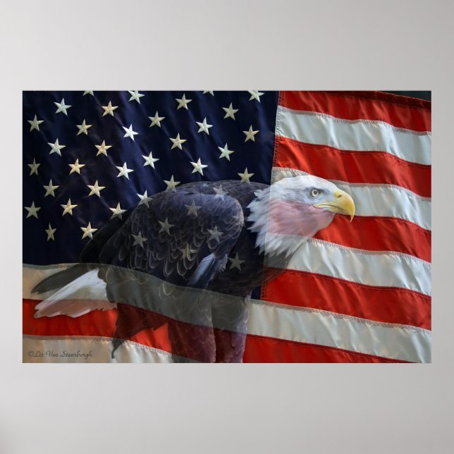 American Eagle Flag Print Poster (Vorne)