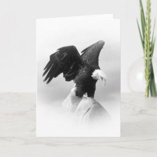American Eagle Grußkarte Karte