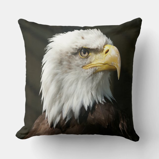 American Eagle Kissen (Vorderseite)
