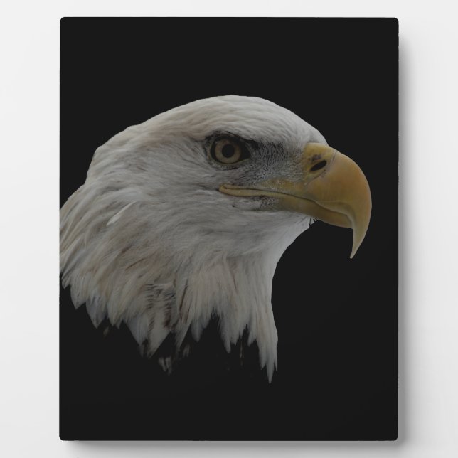 American Eagle Leadership Motivierend Fotoplatte (Vorderseite)