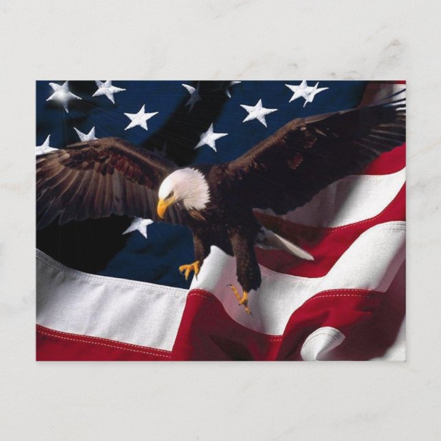 American Eagle Postcard 1 Postkarte (Vorderseite)