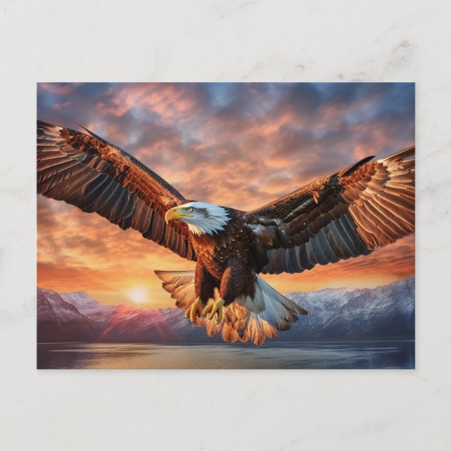 American Eagle Postkarte (Vorderseite)