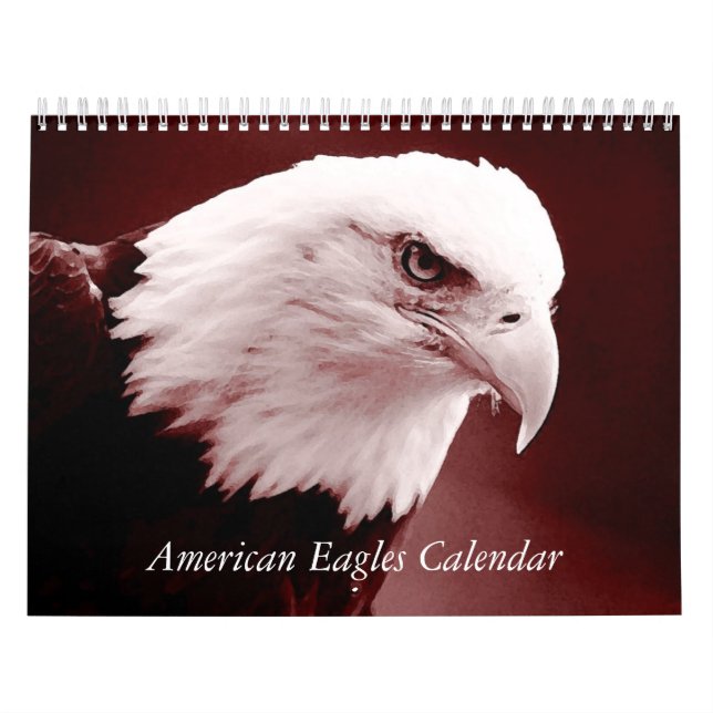 American Eagles - Birds & Animals Art Kalender (Titelbild)