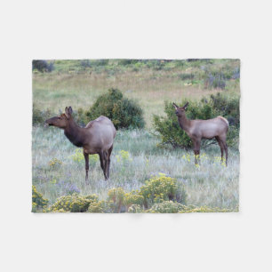 American Elk Colorado Fleecedecke