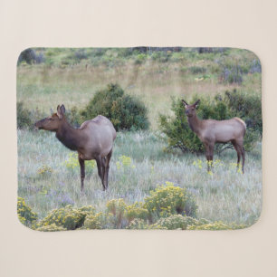 American Elk Colorado Sherpadecke