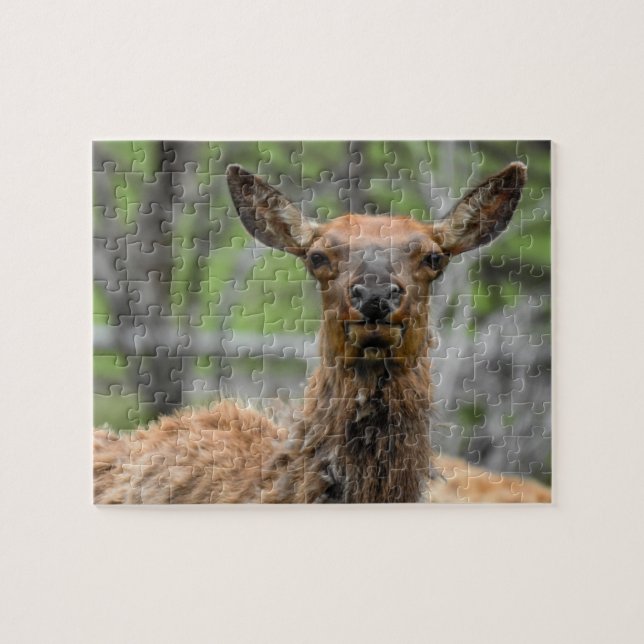 American Elk Puzzle (Horizontal)