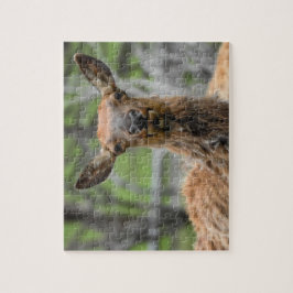 American Elk Puzzle