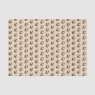 American English Coonhound Painting - Dog Art Seidenpapier