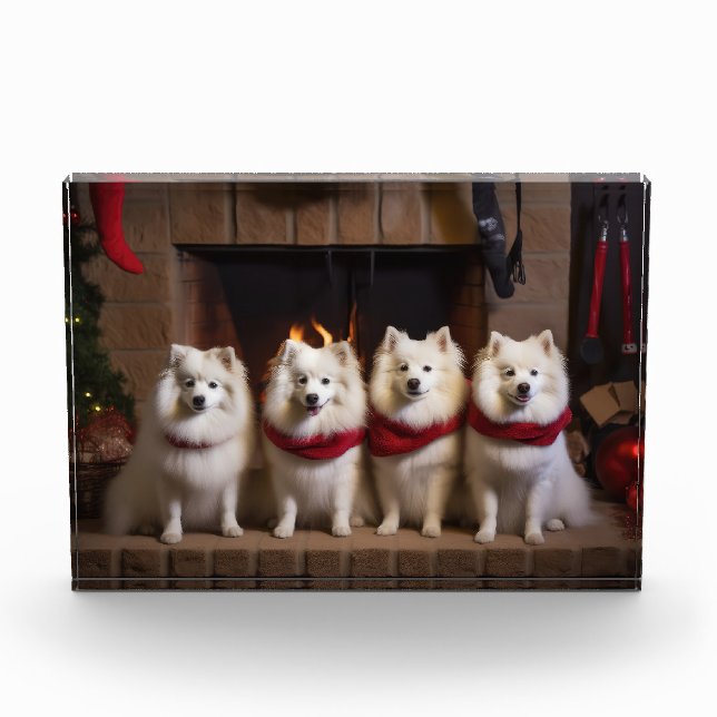American Eskimo am Feuerplatz Weihnachten Fotoblock (Vorderseite)