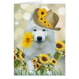 American Eskimo Daisy Dog