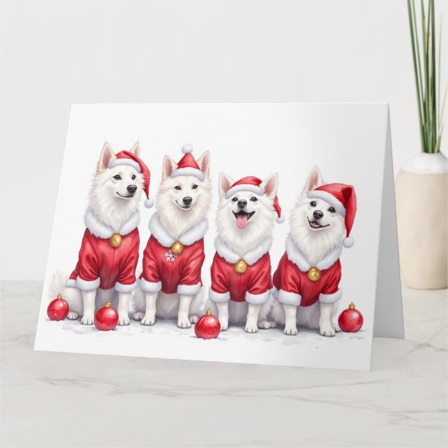 American Eskimo Dog Christmas Dress Santa Hat Karte (Vorderseite)