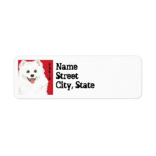 American Eskimo Dog Color Block