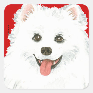 American Eskimo Dog Color Block Quadratischer Aufkleber