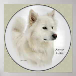 American Eskimo Dog Gaben Art Poster