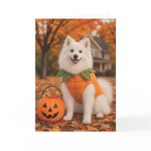 American Eskimo Dog Halloween-Karte