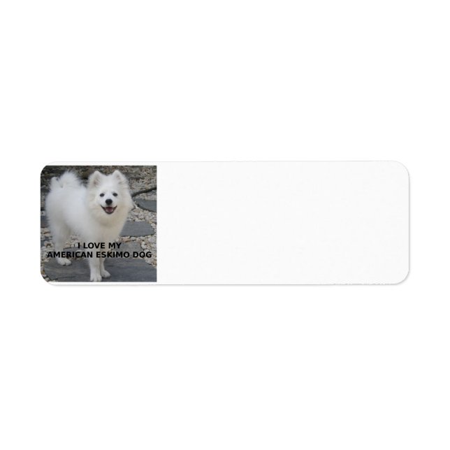 American_Eskimo_Dog_Liebe w pic (Vorne)