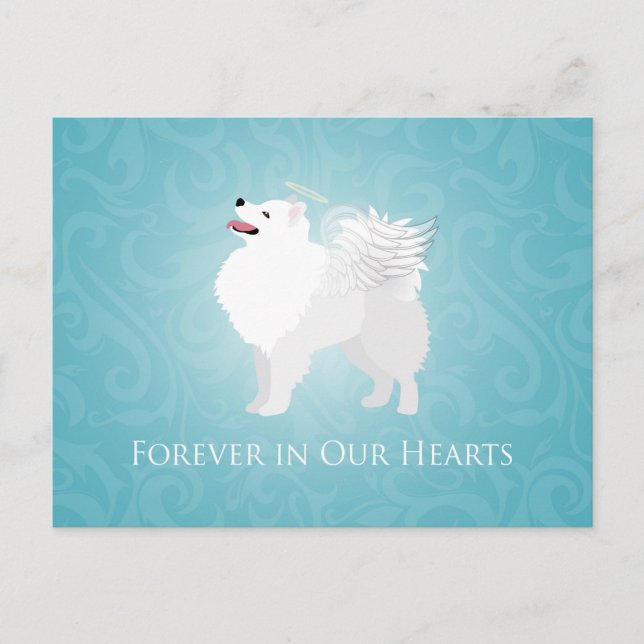 American Eskimo Dog Pet Loss Beileid Design Postkarte (Vorderseite)