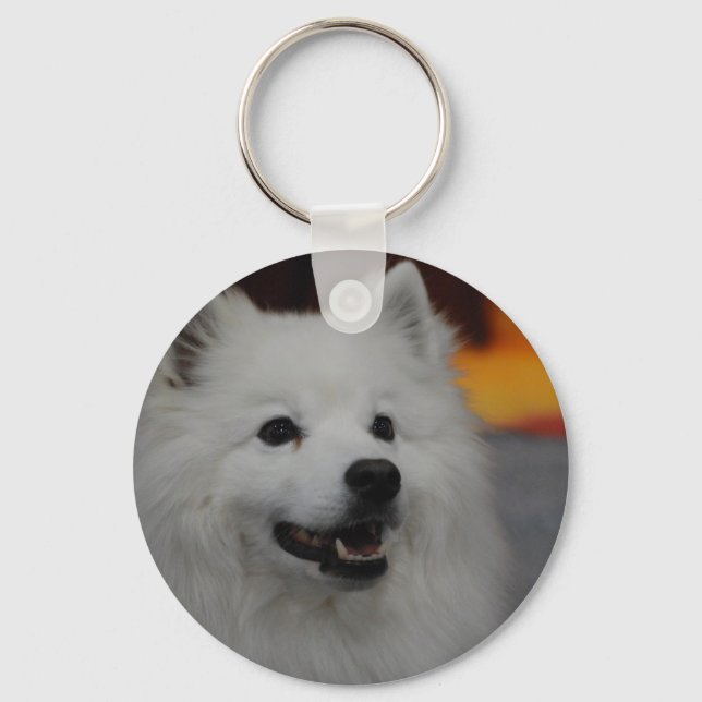 American Eskimo Dog Schlüsselanhänger (Vorderseite)