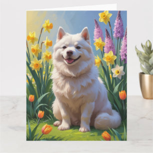 American Eskimo Dog Spring Blumen Malerei Karte