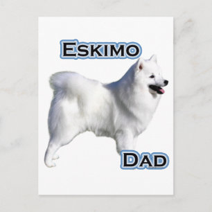 American Eskimo Dog Vater 4 Postkarte