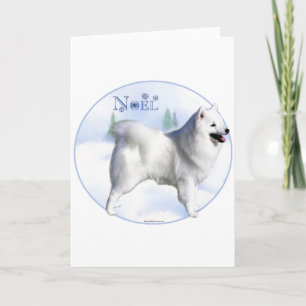 American Eskimo Dog Weihnachten