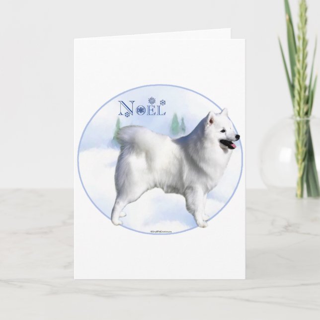 American Eskimo Dog Weihnachten (Vorderseite)