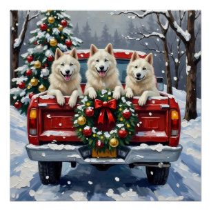 American Eskimo Dog Weihnachten Roter LKW Urlaub Poster