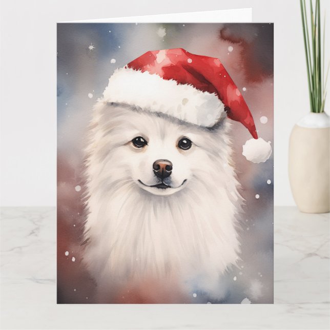 American Eskimo Dog Weihnachtsfeiertag Karte (Vorderseite)