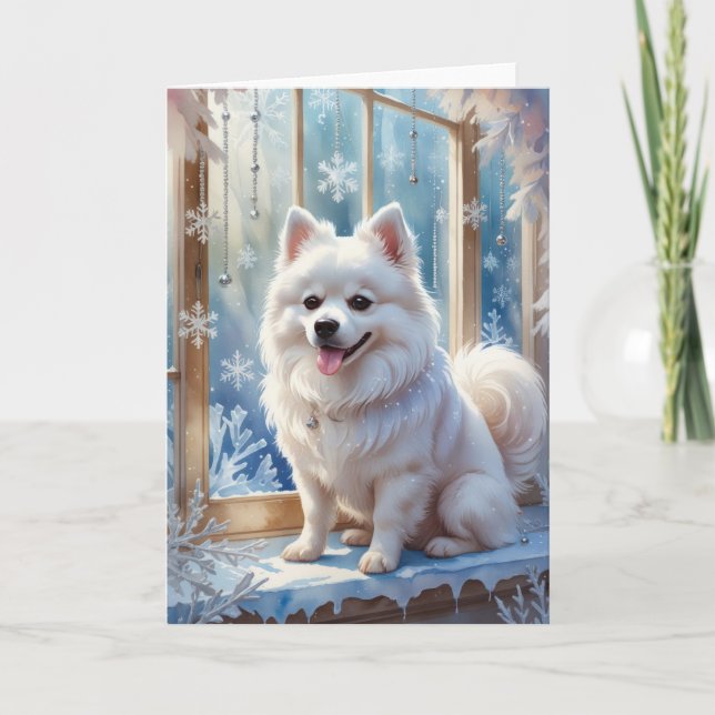 American Eskimo Dog Weihnachtsgrußkarte Karte (Vorderseite)