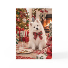 American Eskimo Dog Weihnachtskarte