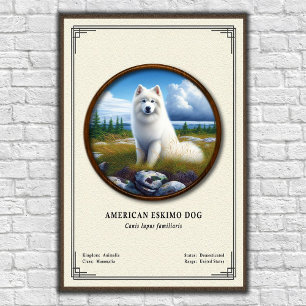 American Eskimo Dog Zoologie-Serie Poster