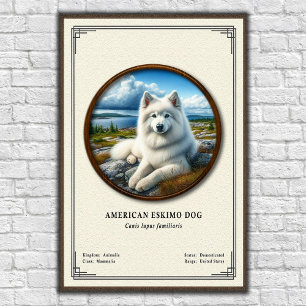 American Eskimo Dog Zoologie-Serie Poster