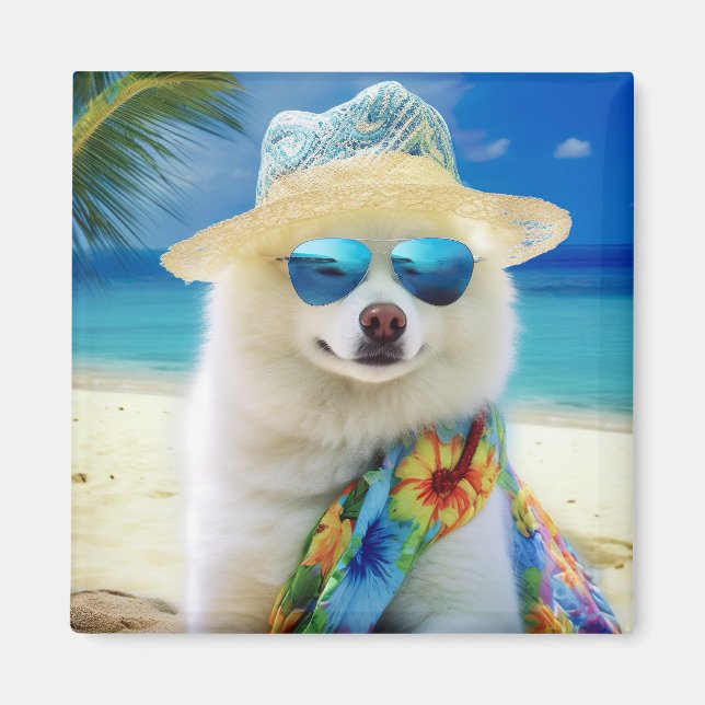 American Eskimo on Beach, Sommergeschenk für Hunde Magnet (Vorne)