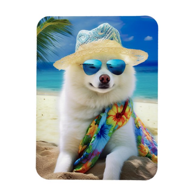 American Eskimo on Beach, Sommergeschenk für Hunde Magnet (Vertikal)