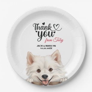 American Eskimo Pappteller