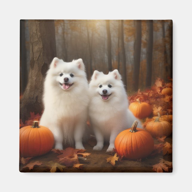 American Eskimo Welpe Autumn Delight Pumpkin Magnet (Vorne)