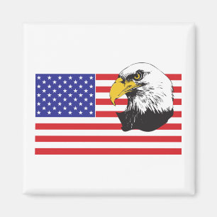 American Flag and Eagle Magnet