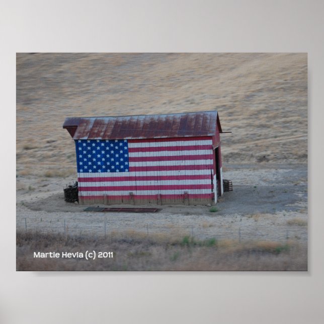 American Flag Barry by Martie Hevia - Foto Print Poster (Vorne)