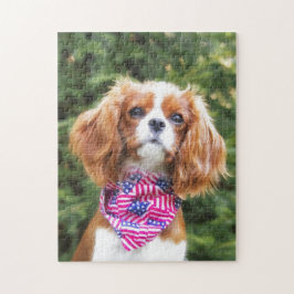 American Flag Cavalier King Charles Spaniel Puppy