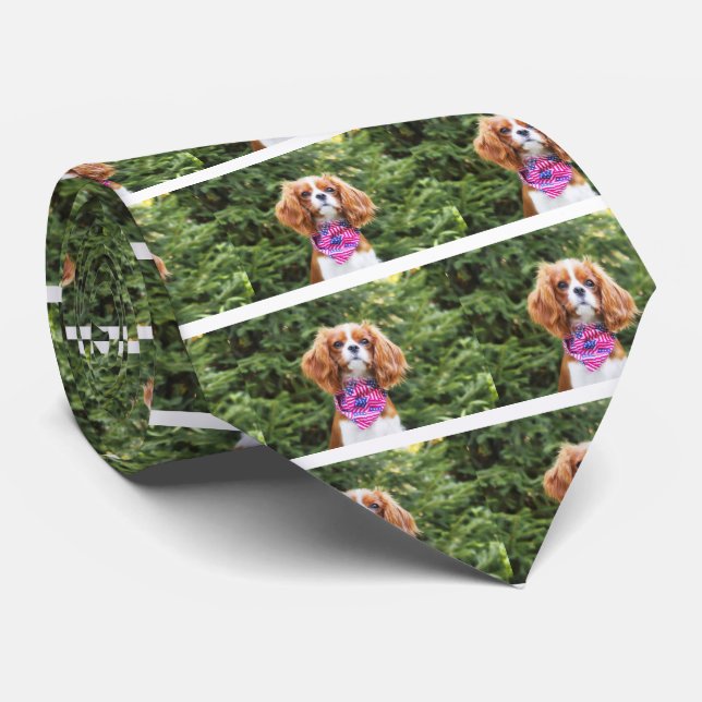 American Flag Cavalier King Charles Spaniel Puppy Krawatte (Gerollt)