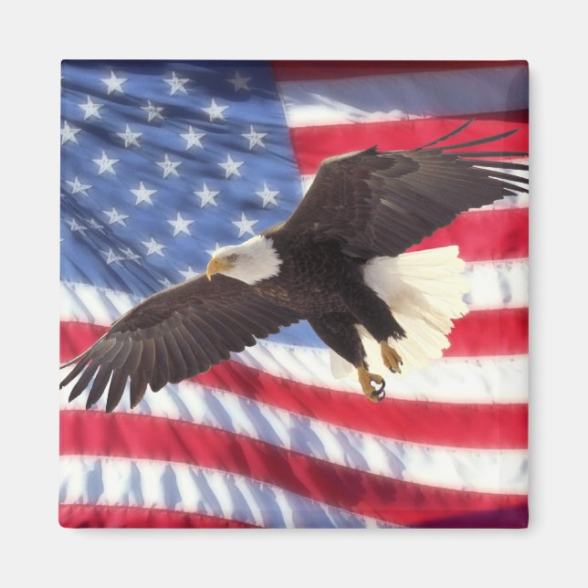 American Flag & Eagle Magnet (Vorne)