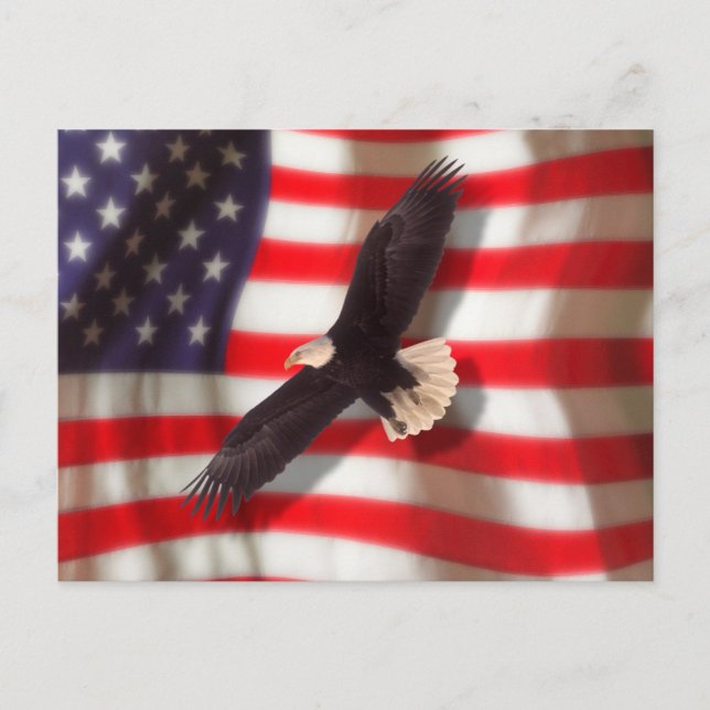 American Flag & Eagle Postcard Postkarte (Vorderseite)