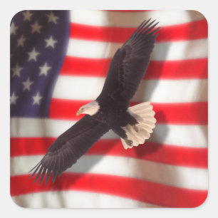 American Flag & Eagle Sticker