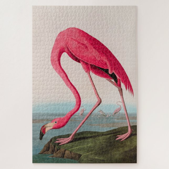American Flamingo Birds of America Audubon Print (Vertikal)