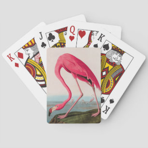 American Flamingo Birds of America Audubon Print Spielkarten