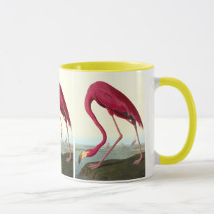 American Flamingo, John James Audubon Tasse