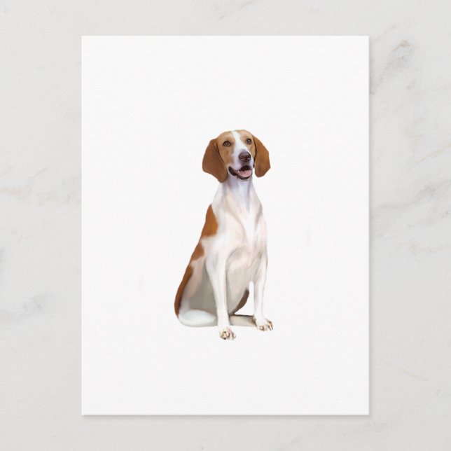 American Foxhound (A) Postkarte (Vorderseite)
