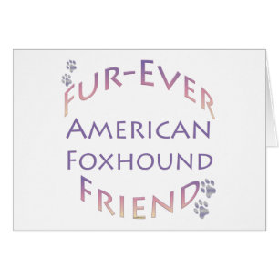 American Foxhound Furever